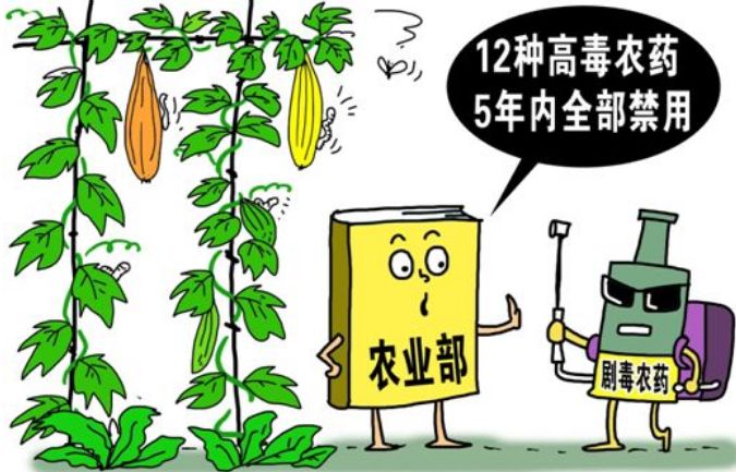 農(nóng)殘檢測儀器引導(dǎo)園林水果種植